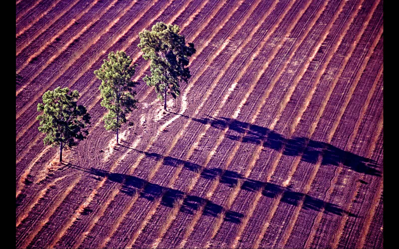 Near Carnarvon Gorge