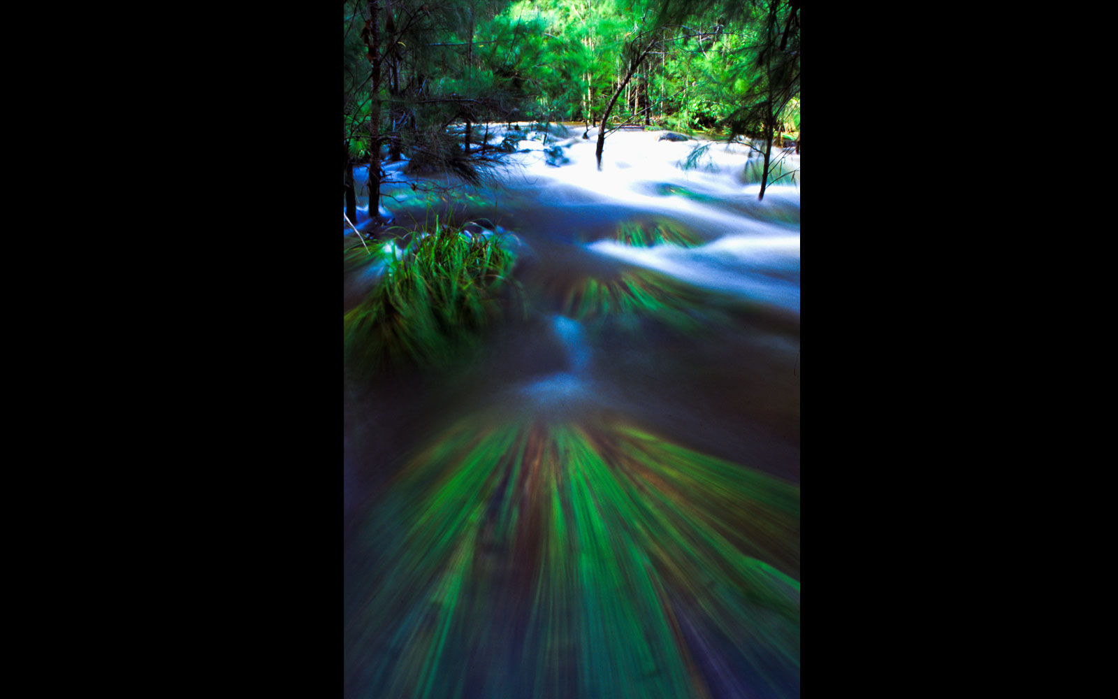Carnarvon Creek in flood, Carnarvon Gorge National Park