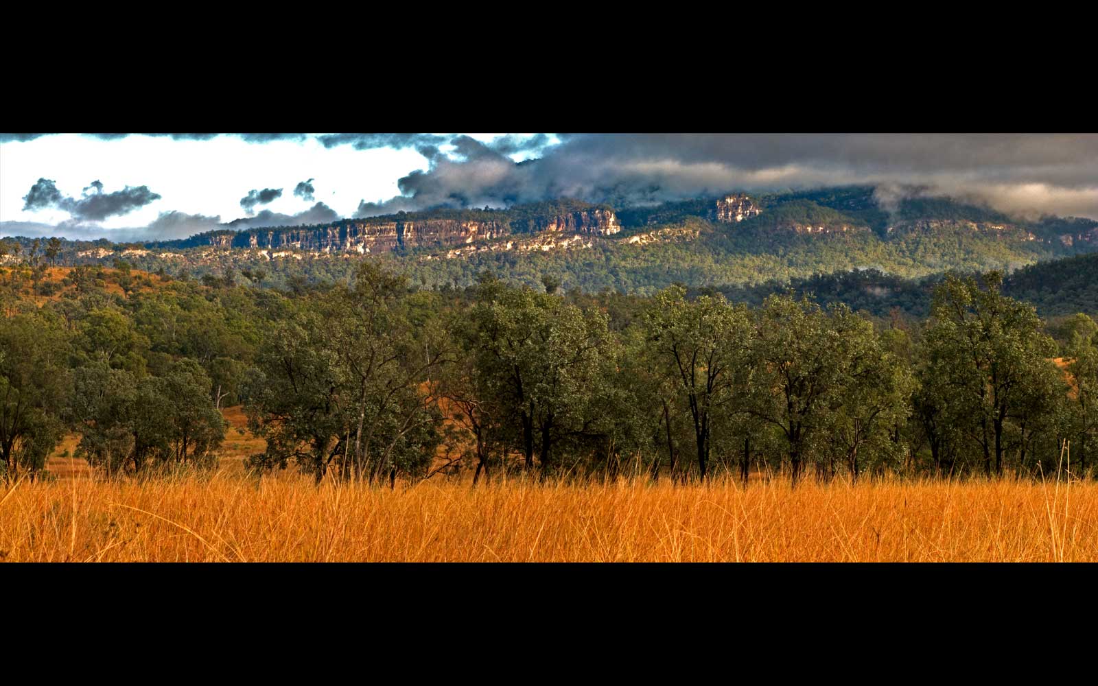 Carnarvon Gorge after rain. Basalt-capped sandstone forms a tangle of mountain ranges in this area.