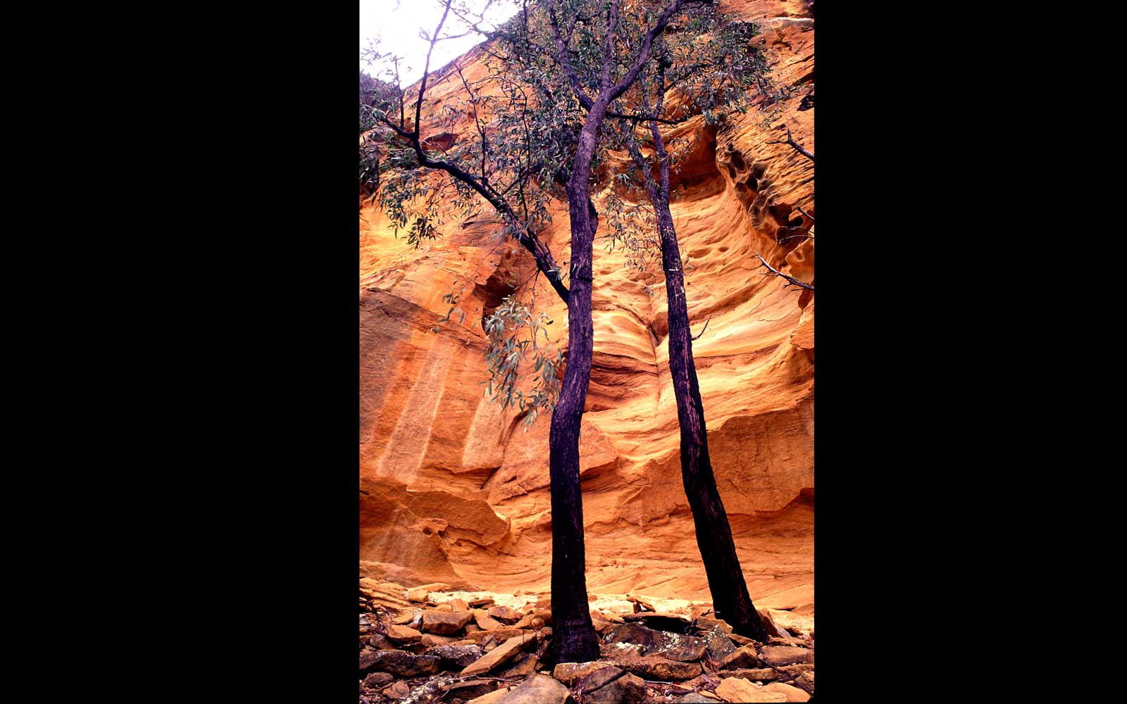 Castle Mountain. Cania Gorge National Park