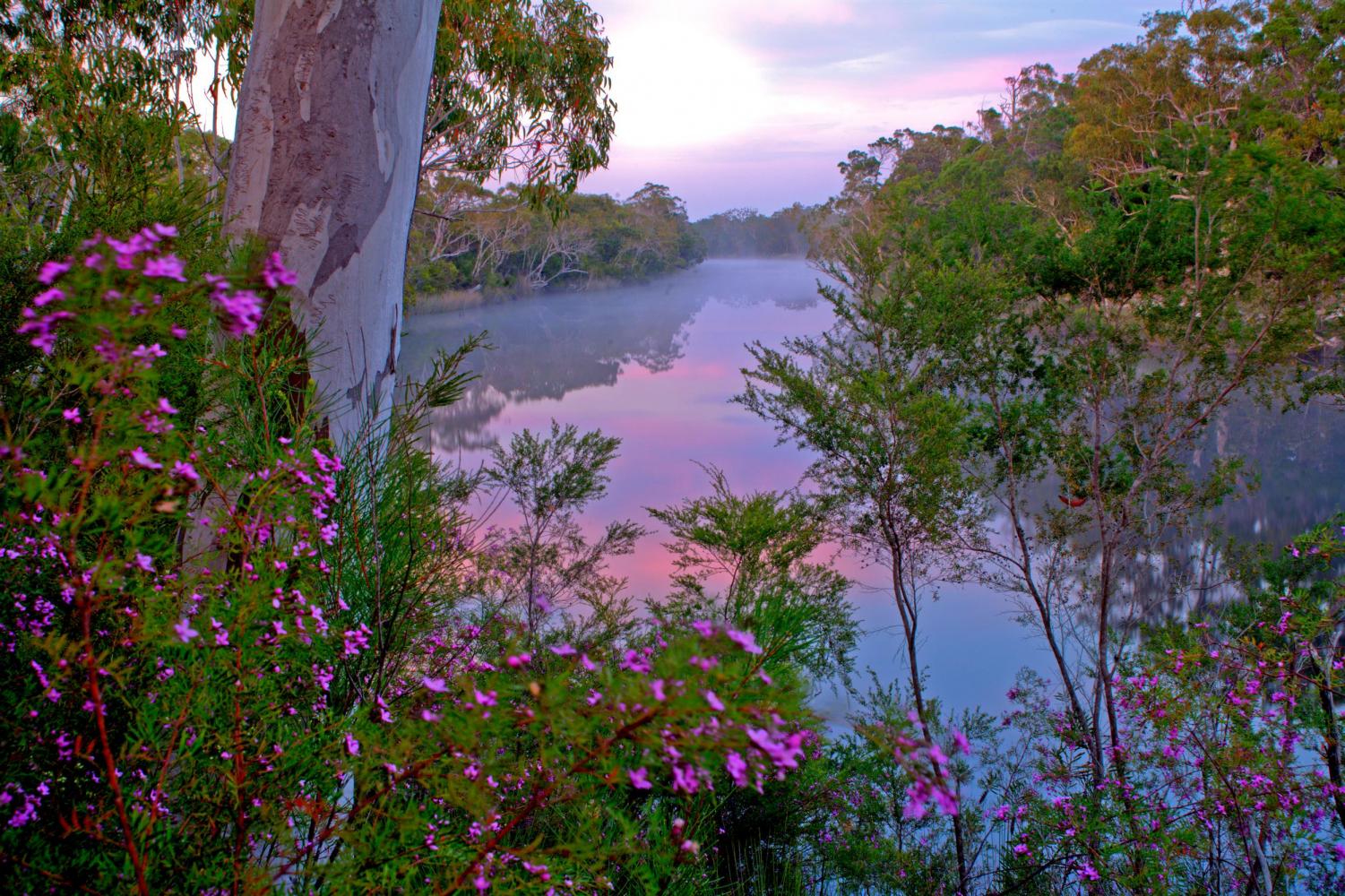 Noosa River at dawn.