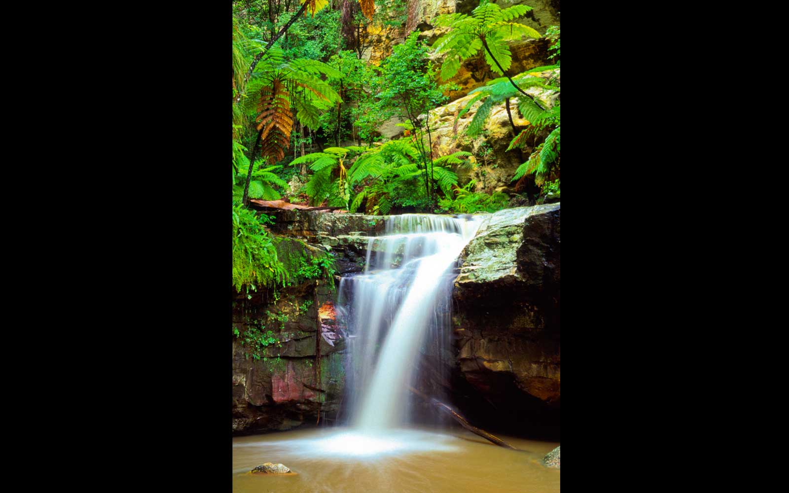 The Moss Garden in flood, Carnarvon Gorge