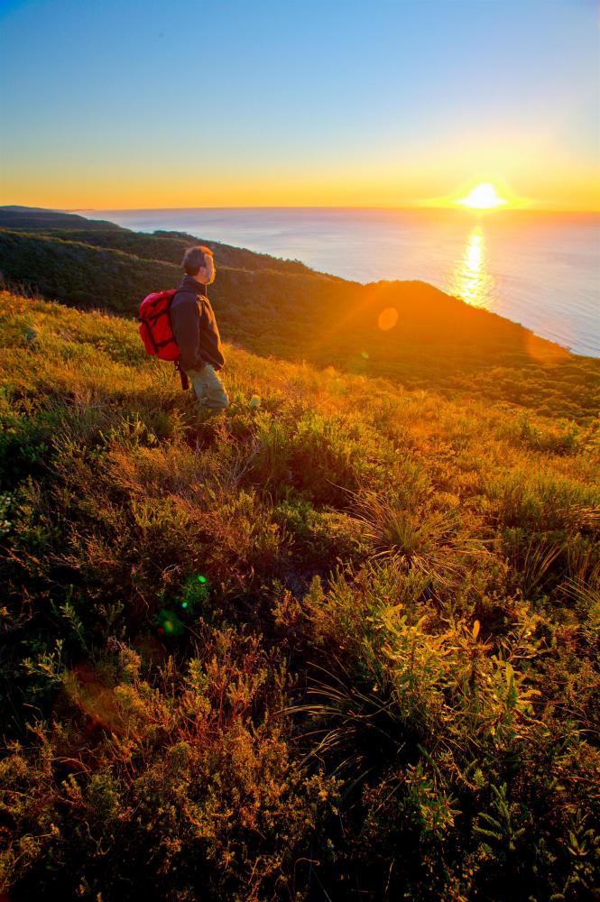 Rob enjoying the dawn sun's rays, Cooloola National Park.