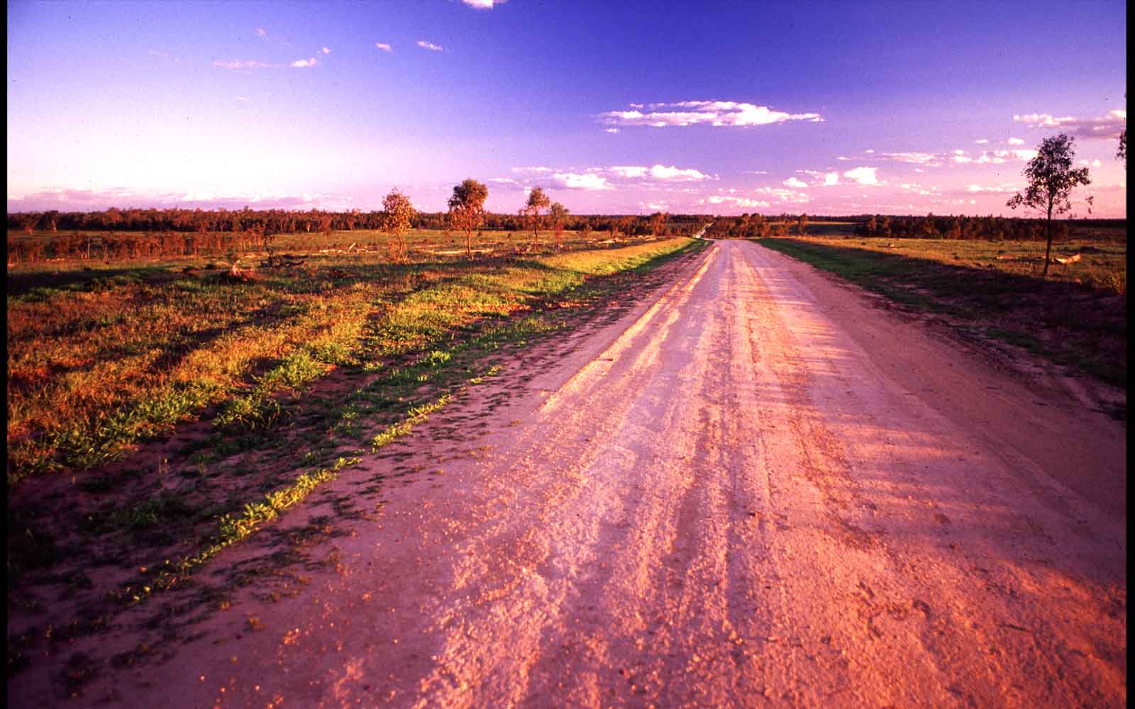 The road to Mount Moffatt, north-west of Injune