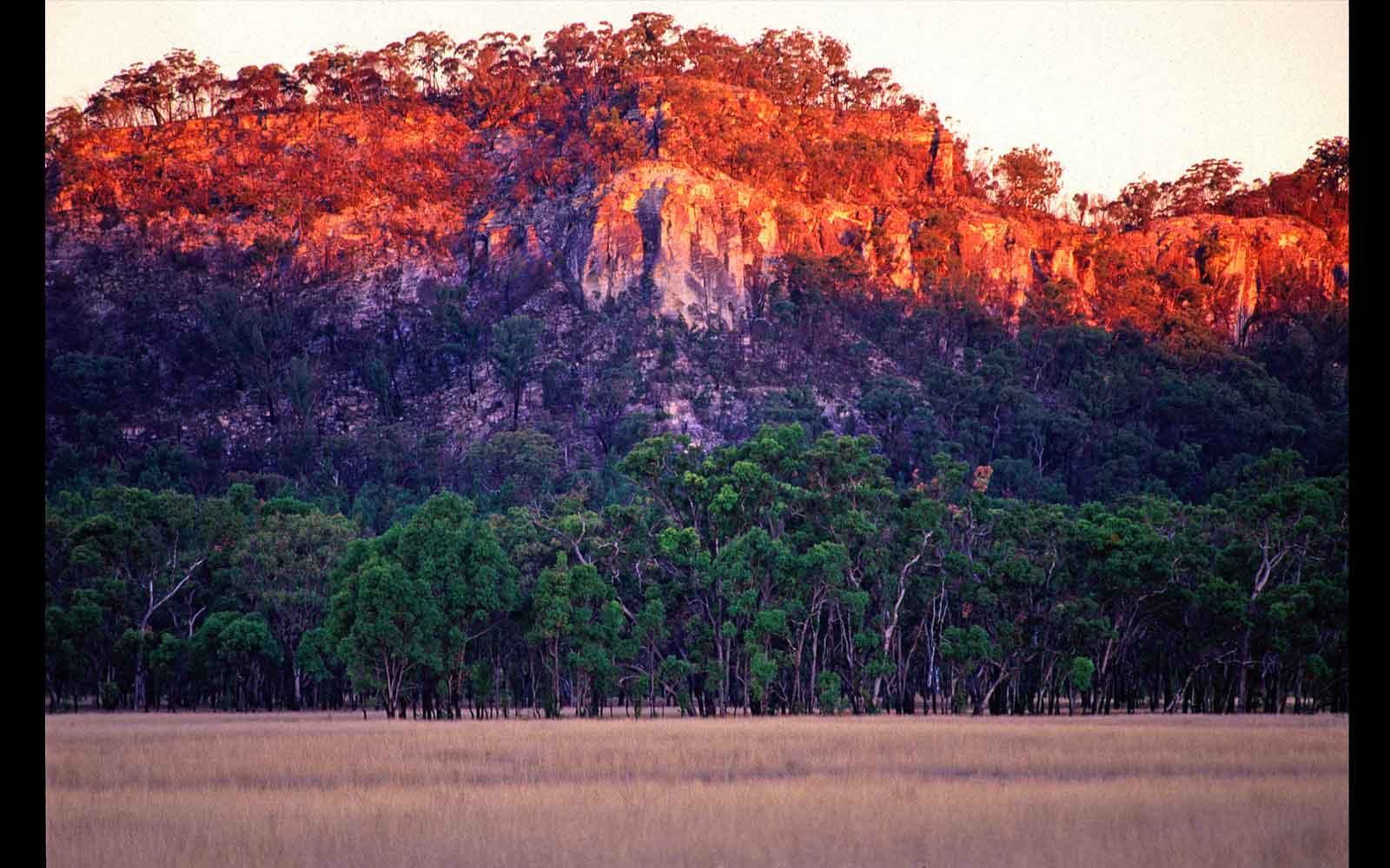 Marlong Plain, Mount Moffatt