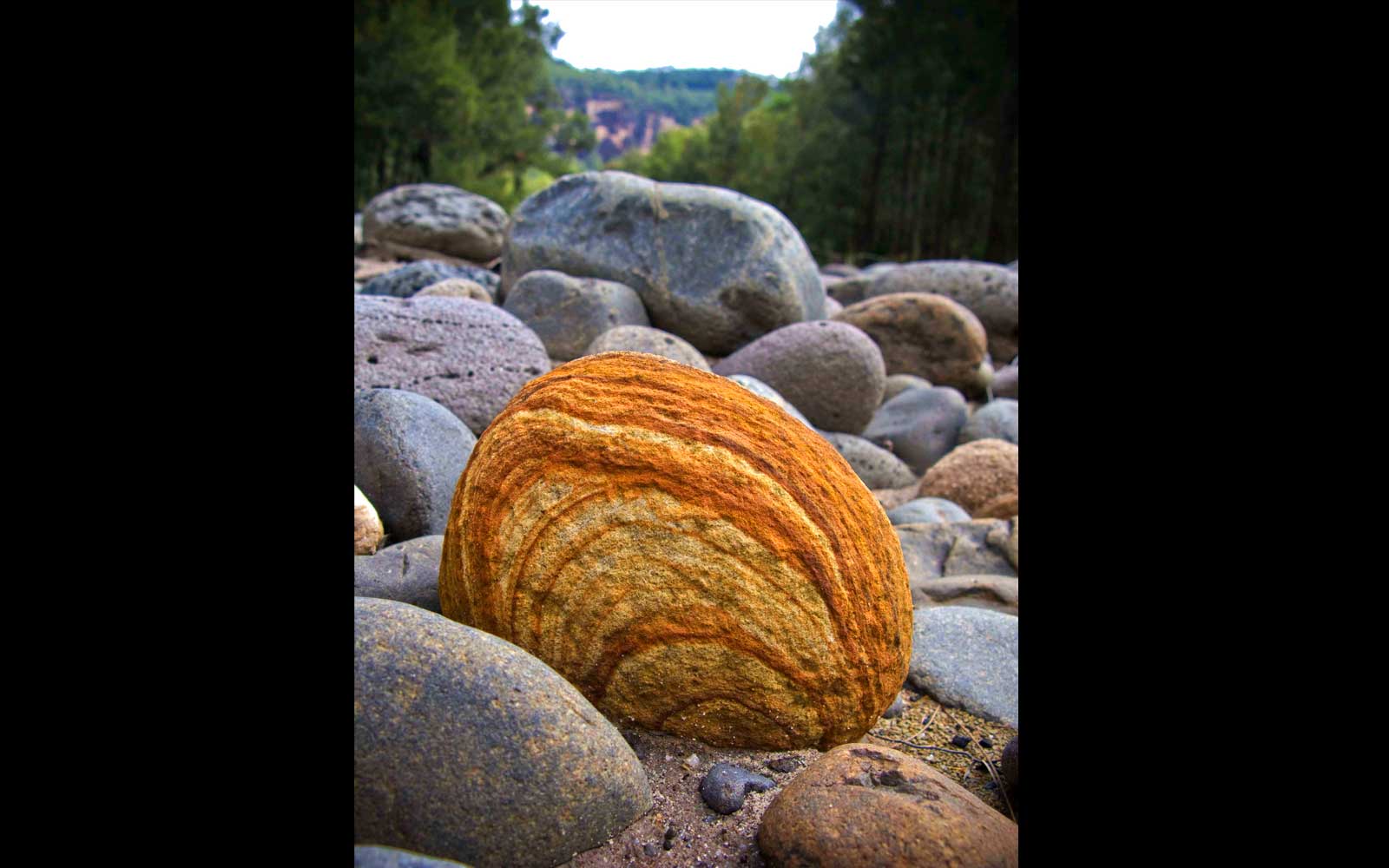 Carnarvon Creek, Carnarvon Gorge National Park