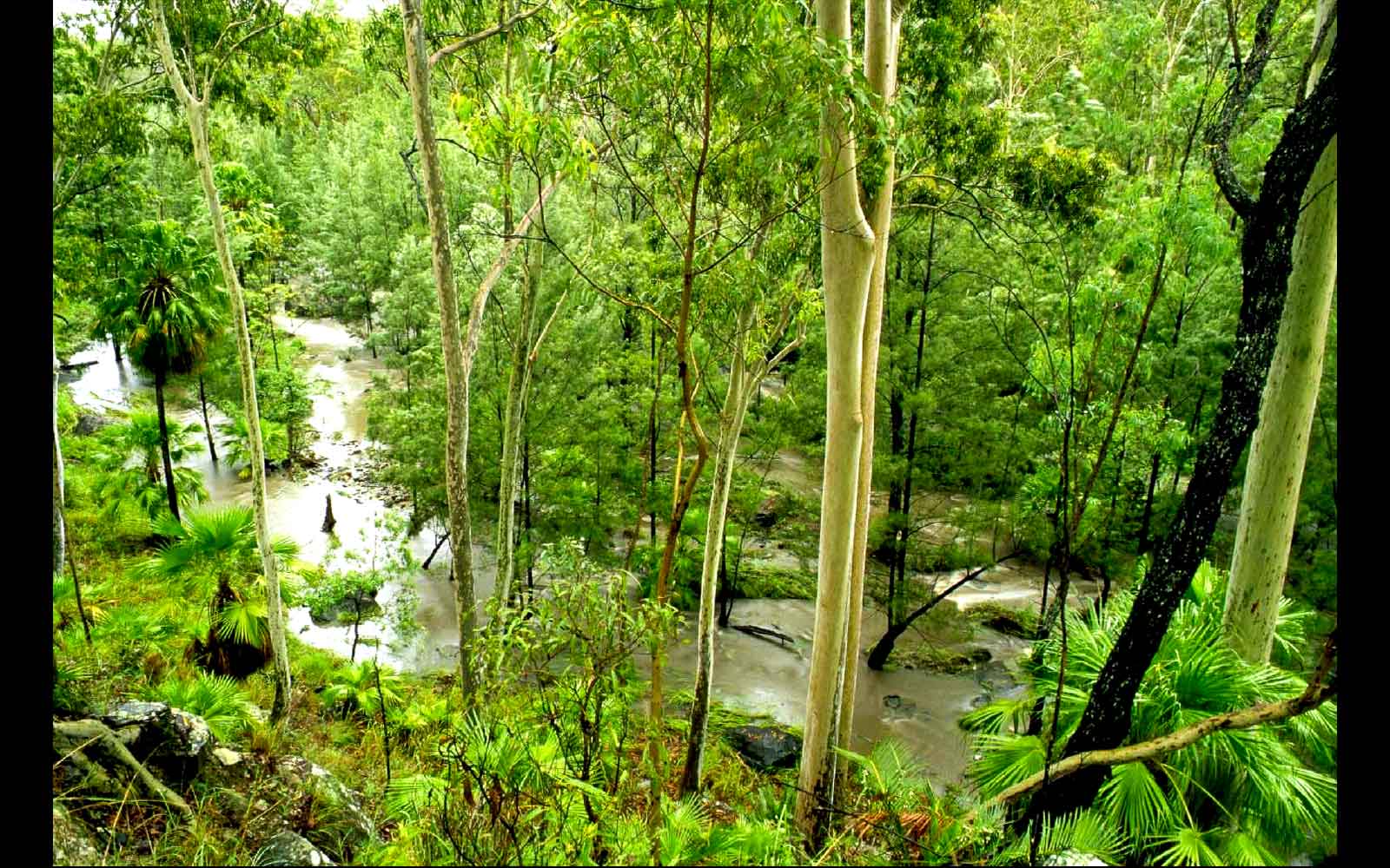 Carnarvon Creek in flood
