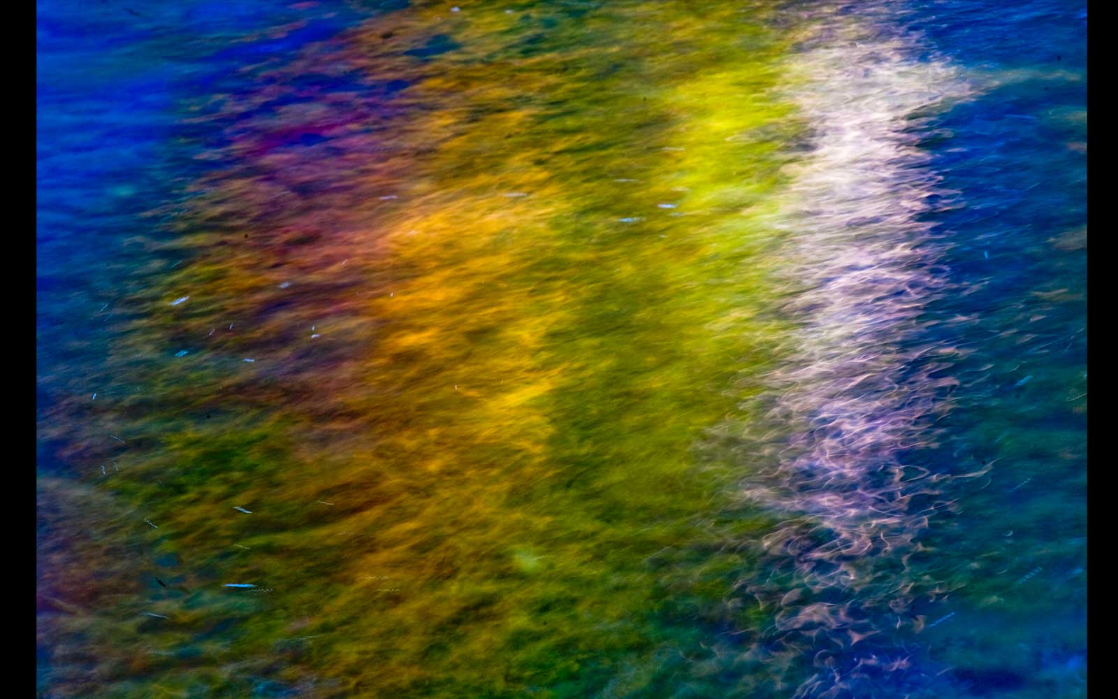 Carnarvon Creek, Carnarvon Gorge National Park