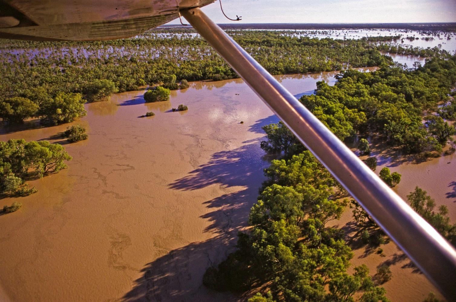 The view from Sandy's plane, just out of Windorah.