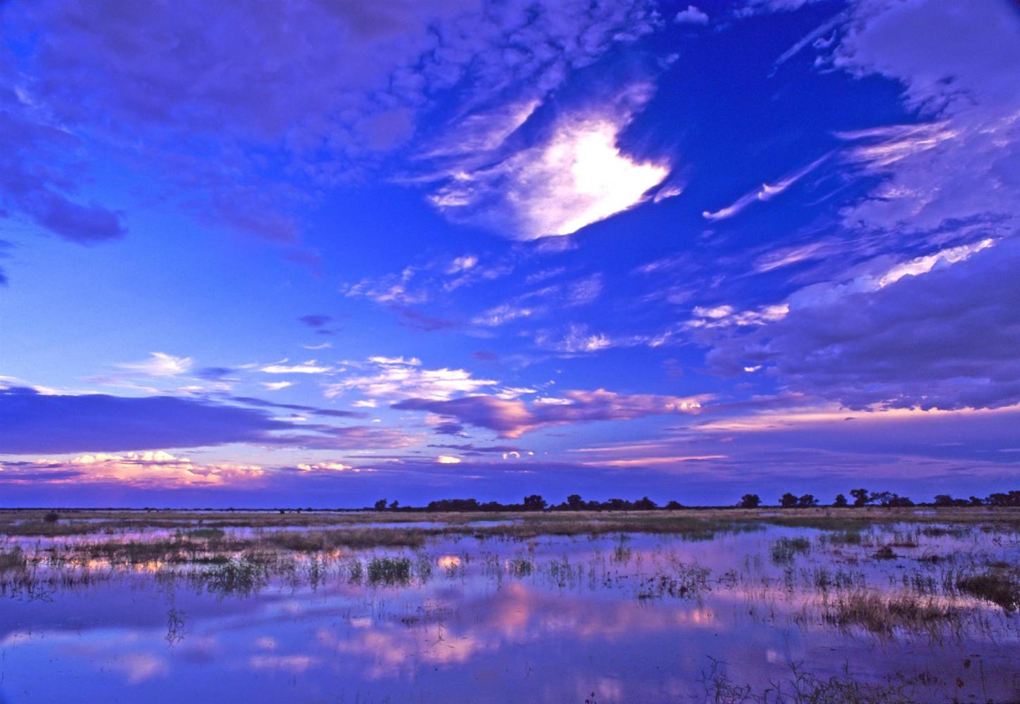 North of Windorah, the Thomson and Barcoo Rivers meet to form Cooper Creek.